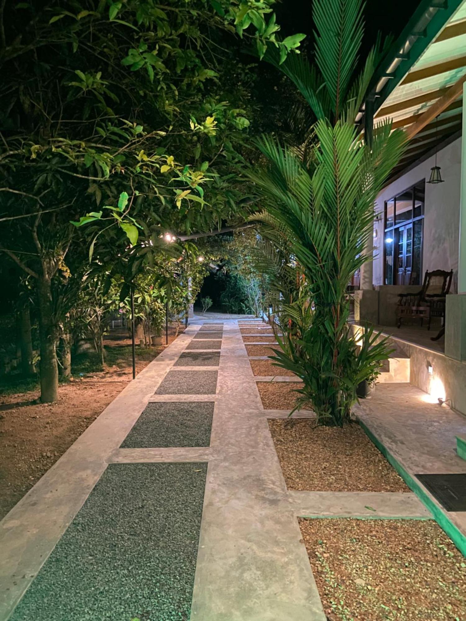 The Dale Mirissa Hotel Kültér fotó